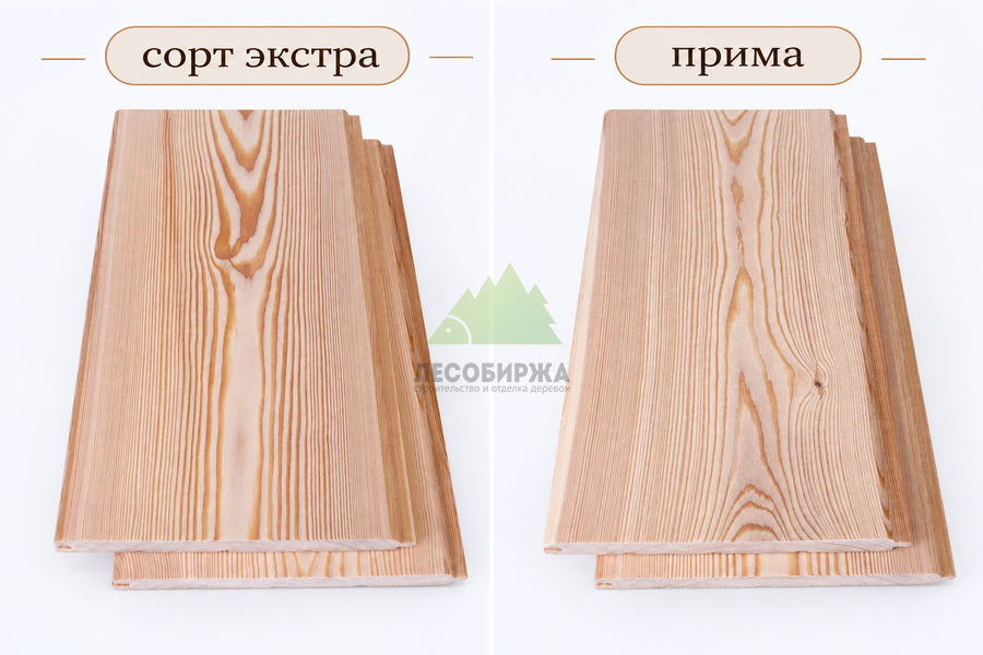 Экстра и Прима в лиственнице