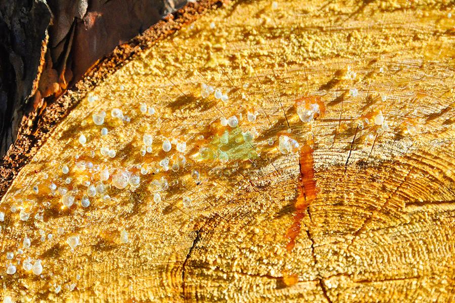 процесс полимеризации смоли