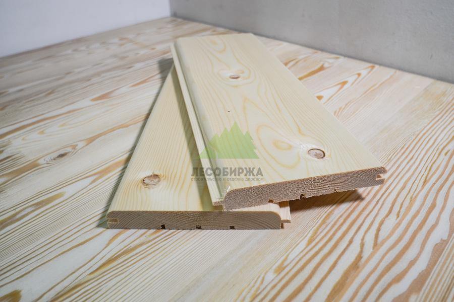 архангельская сосна