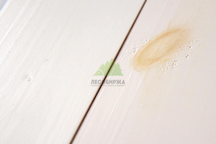 Праймер Праймер