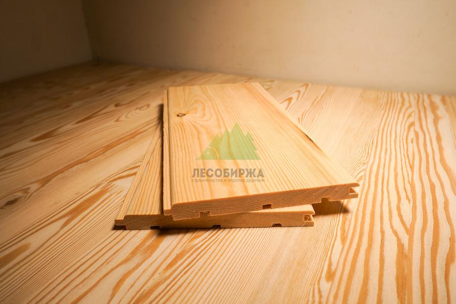 ангарская сосна