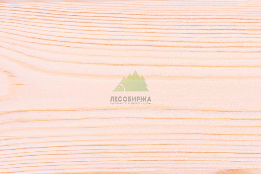 Текстура дерева в первые годы, пока оно полно естественной влаги porok-drevesiny-kinematika-shlifovka.jpg