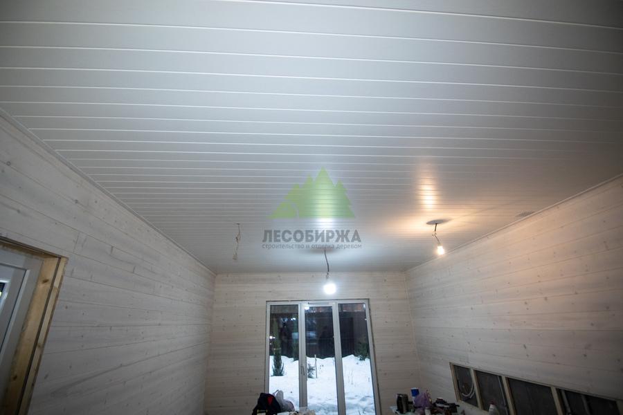 архангельская сосна по укрывной краской