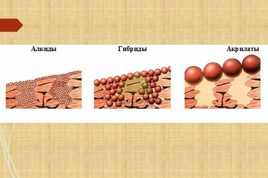 Алкиды, гибриды и акрилаты