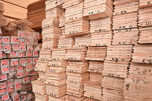 Вагонка с запахом хвои: кедр, лиственница или ангарская сосна?