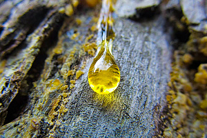 Урок 3. Что такое полимеризация смол и чем этот процесс опасен для покраски?