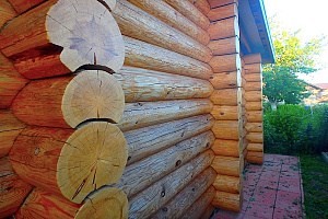 Защита торцевых частей бревна: торцы трещат? Значит, дом “пьёт” влагу через спил!