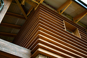 Дома, обшитые планкеном: фото фасадов, которые не посерели за 3 сезона в СПб